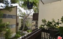 5950 Canterbury Dr., #C-204