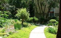 6305 Green Valley Cir., #109