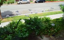 5900 Canterbury Dr., #B-114