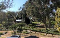6124 Buckingham Pkwy., #202, Culver City, CA 90230