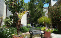5950 Canterbury Dr., #C208 Culver City, CA 90230