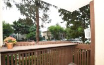 Delightful Property with Elegant New Flooring