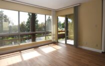 Top Floor Unit with Verdant Views